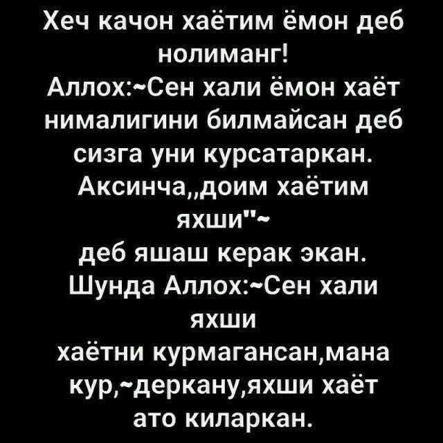@ЗЕБО 24