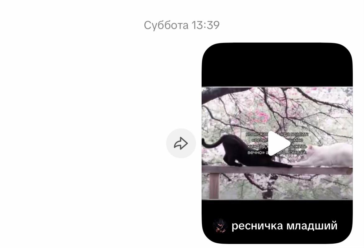 @sofuck