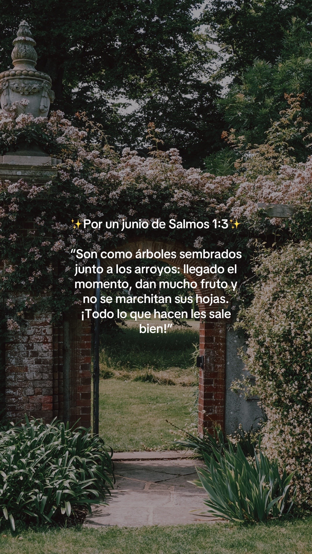 @vidabonita❤️&zwj;🩹