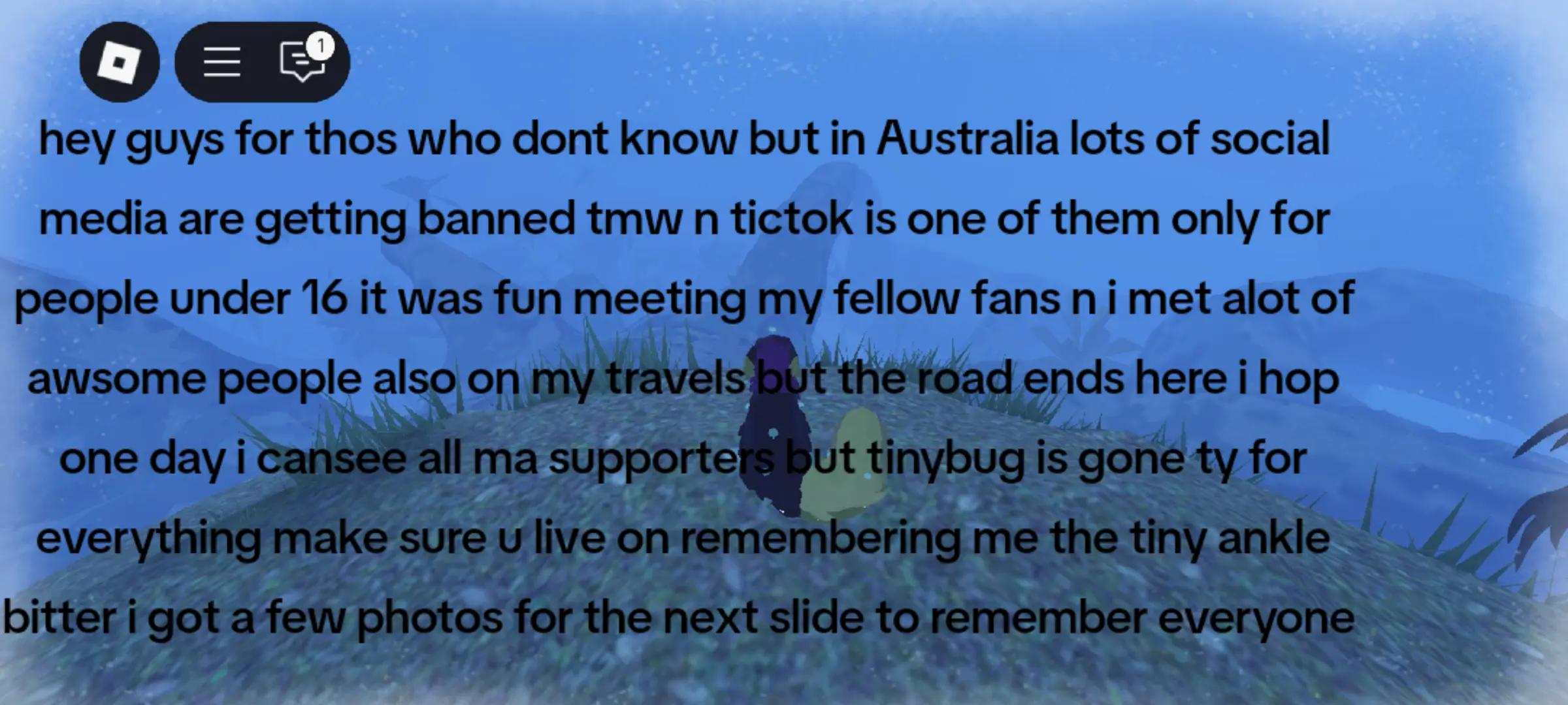 @tinybug_cc
