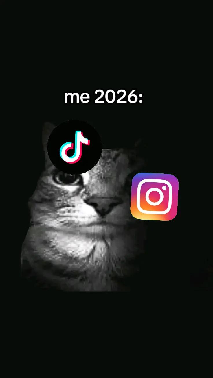 @LechugaFF☄️