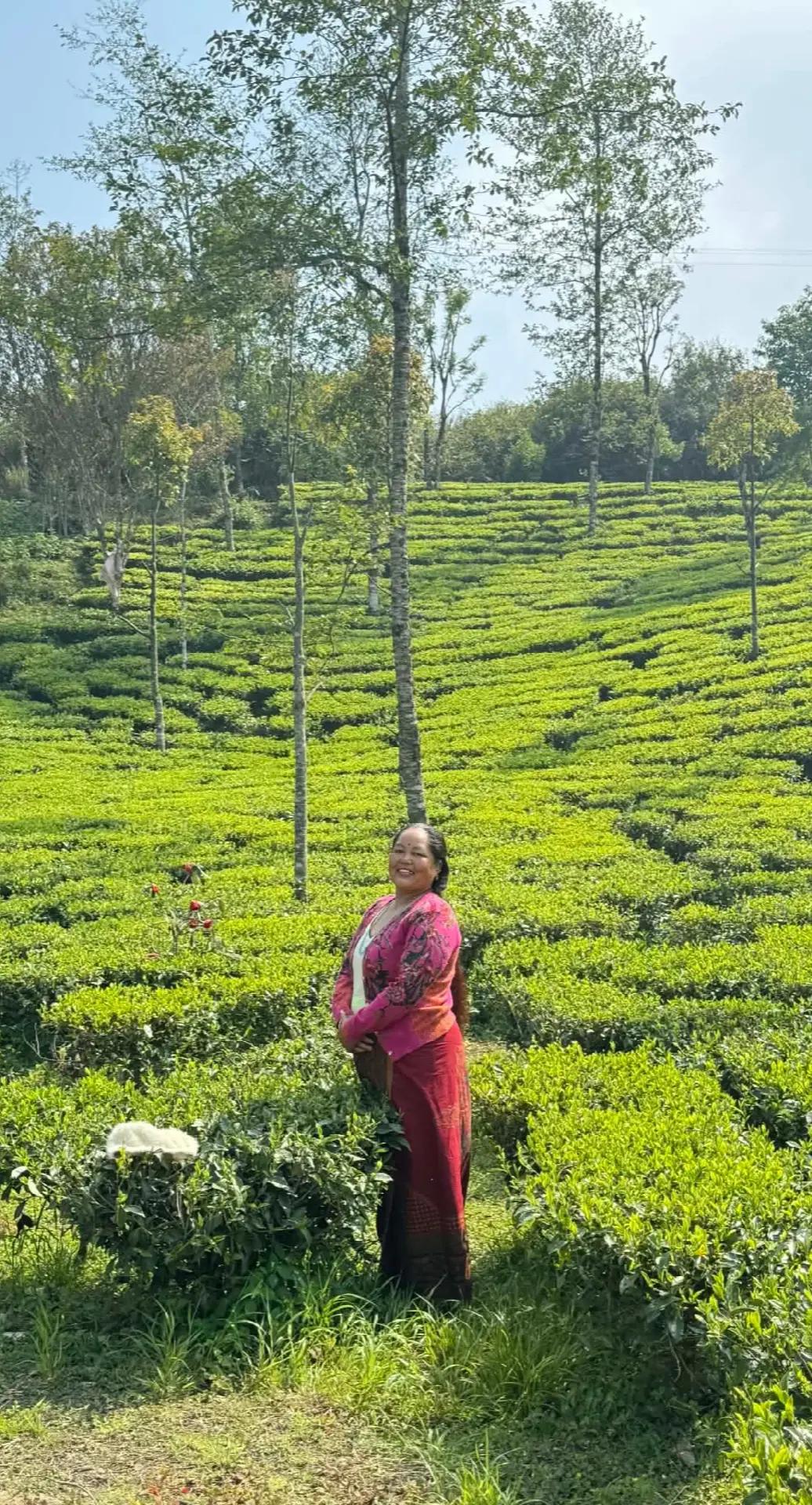 @maya