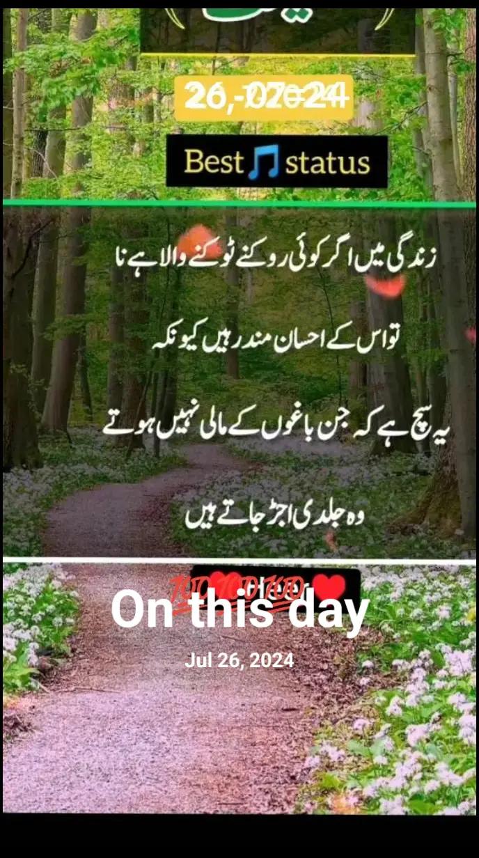 @RAJA NAEEM123tiktok