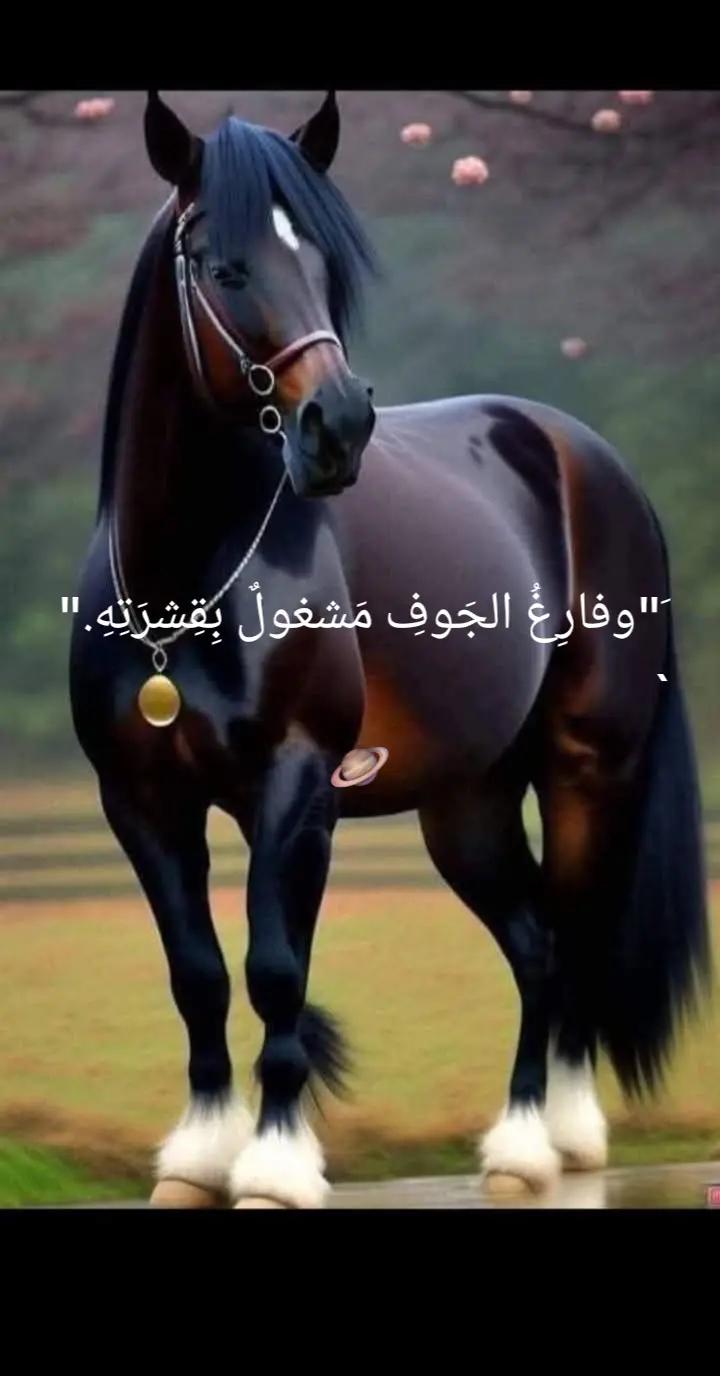 @ليلى فهد الشمالي