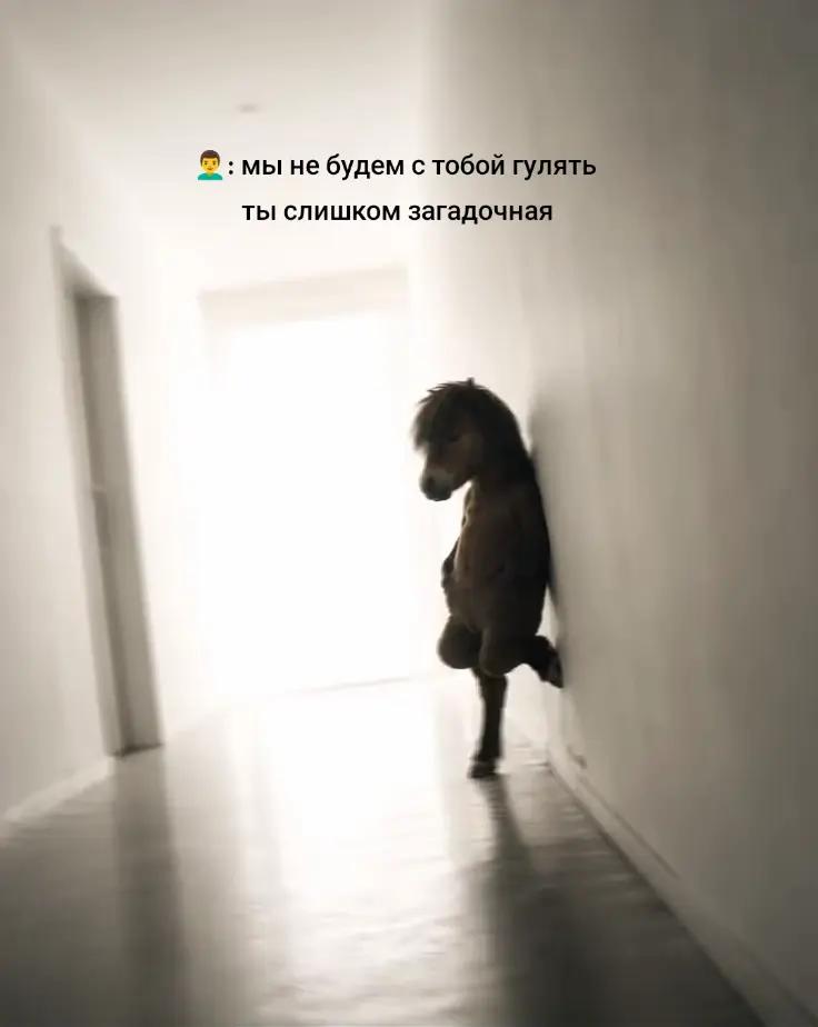 @Skkimy