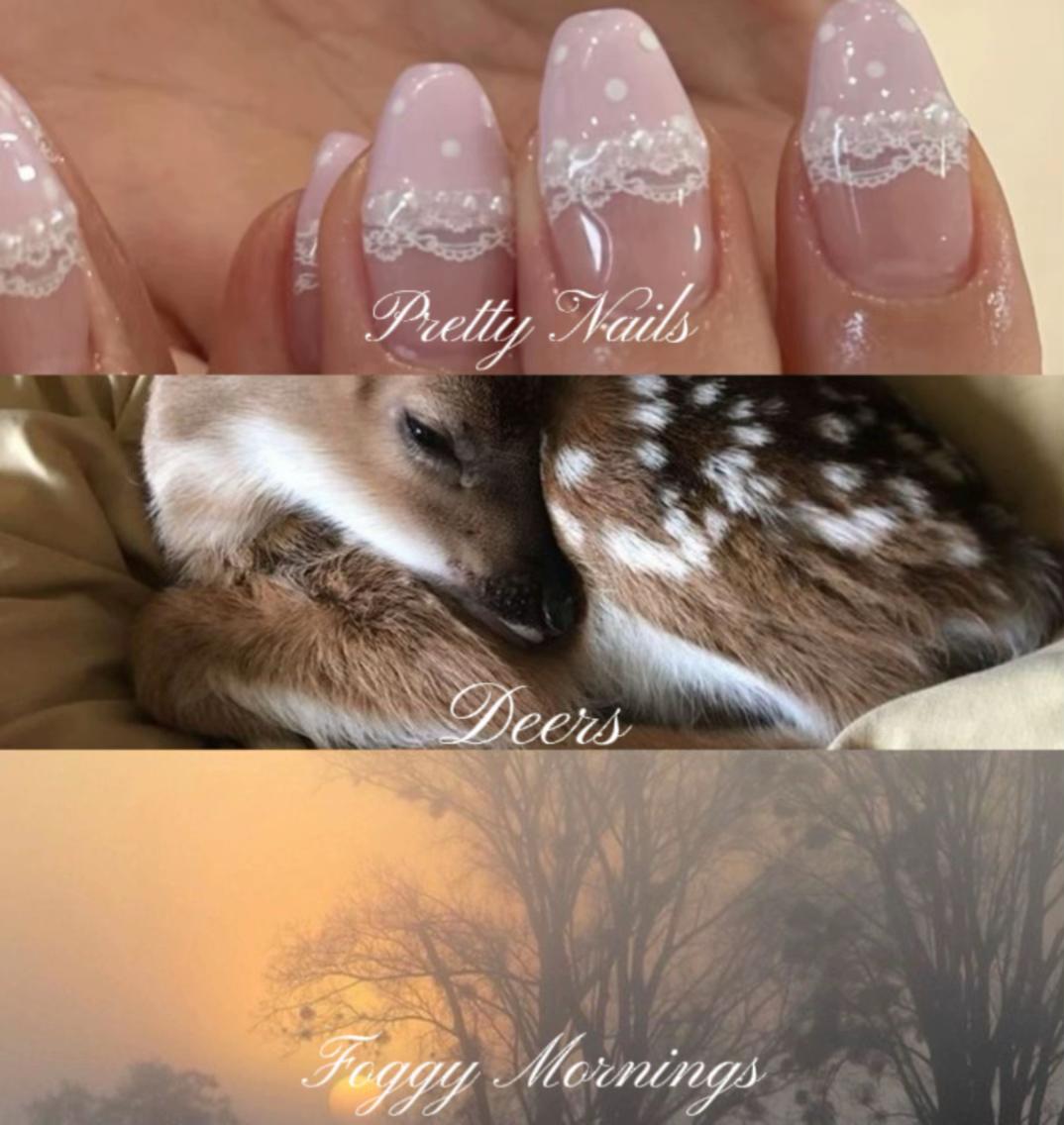 @𓊆ྀི ℰ 𓊇ྀི . ݁₊🦢