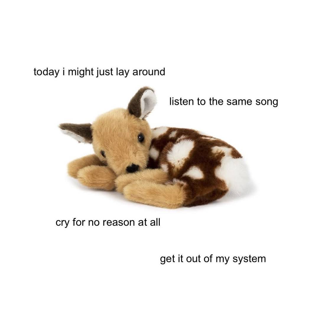 @Bonnie Darko