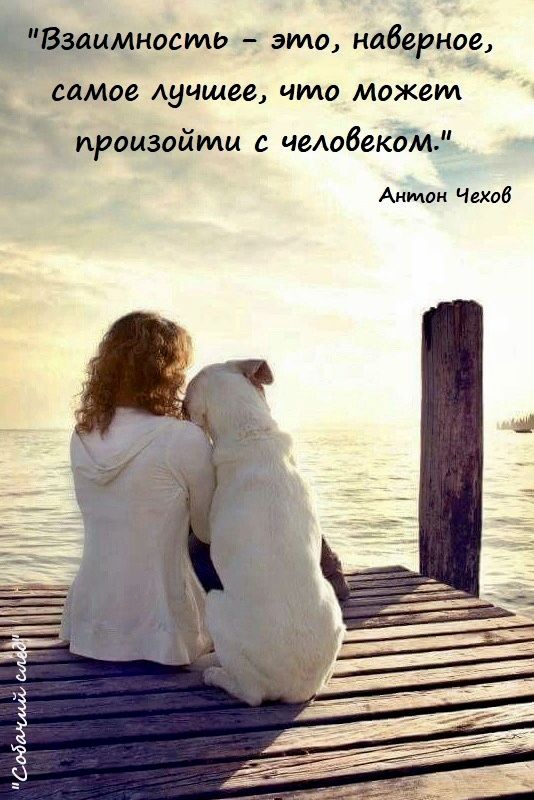 @Ludmila B