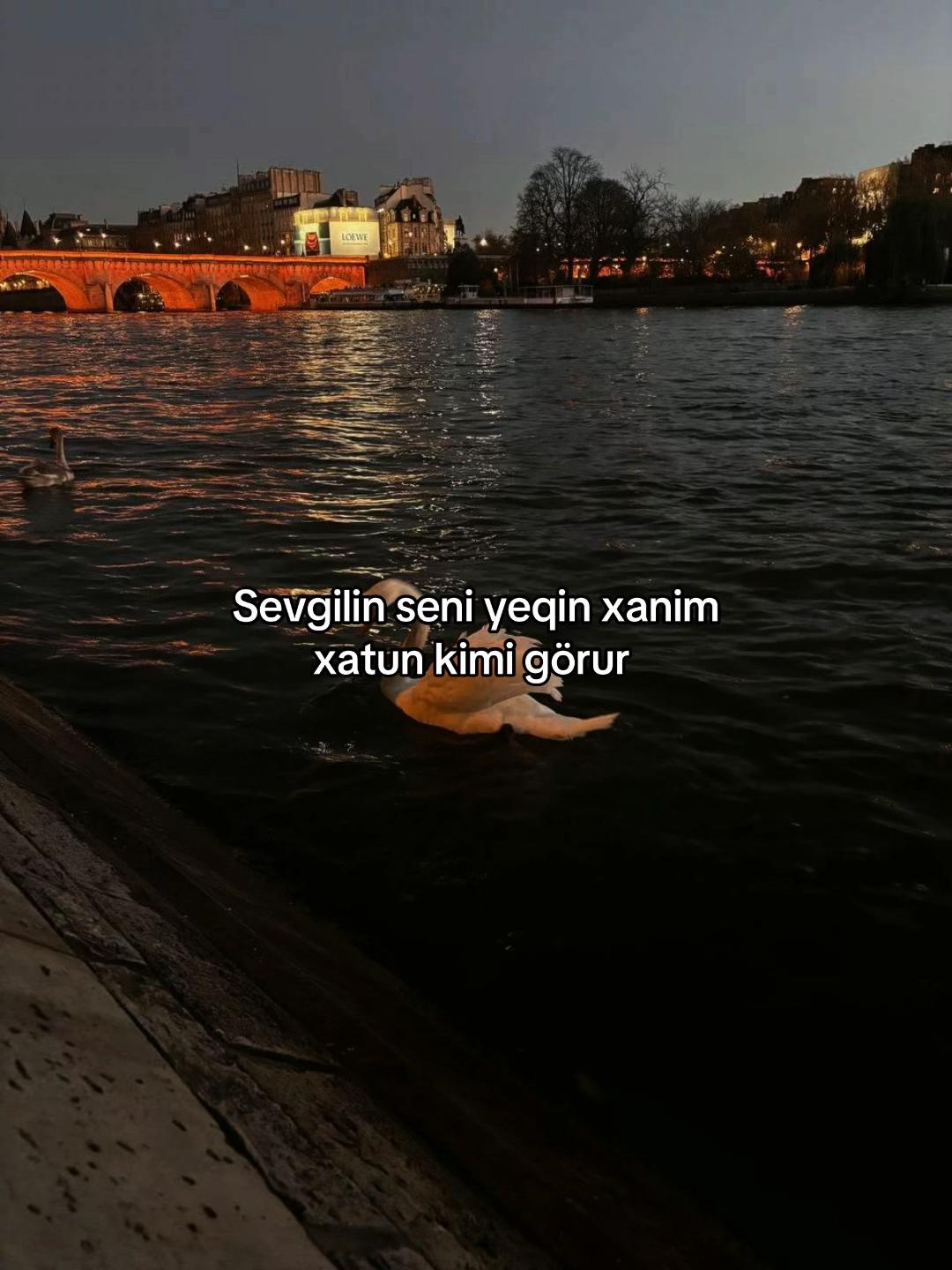 @𝓐𝔂𝓼 ྀི