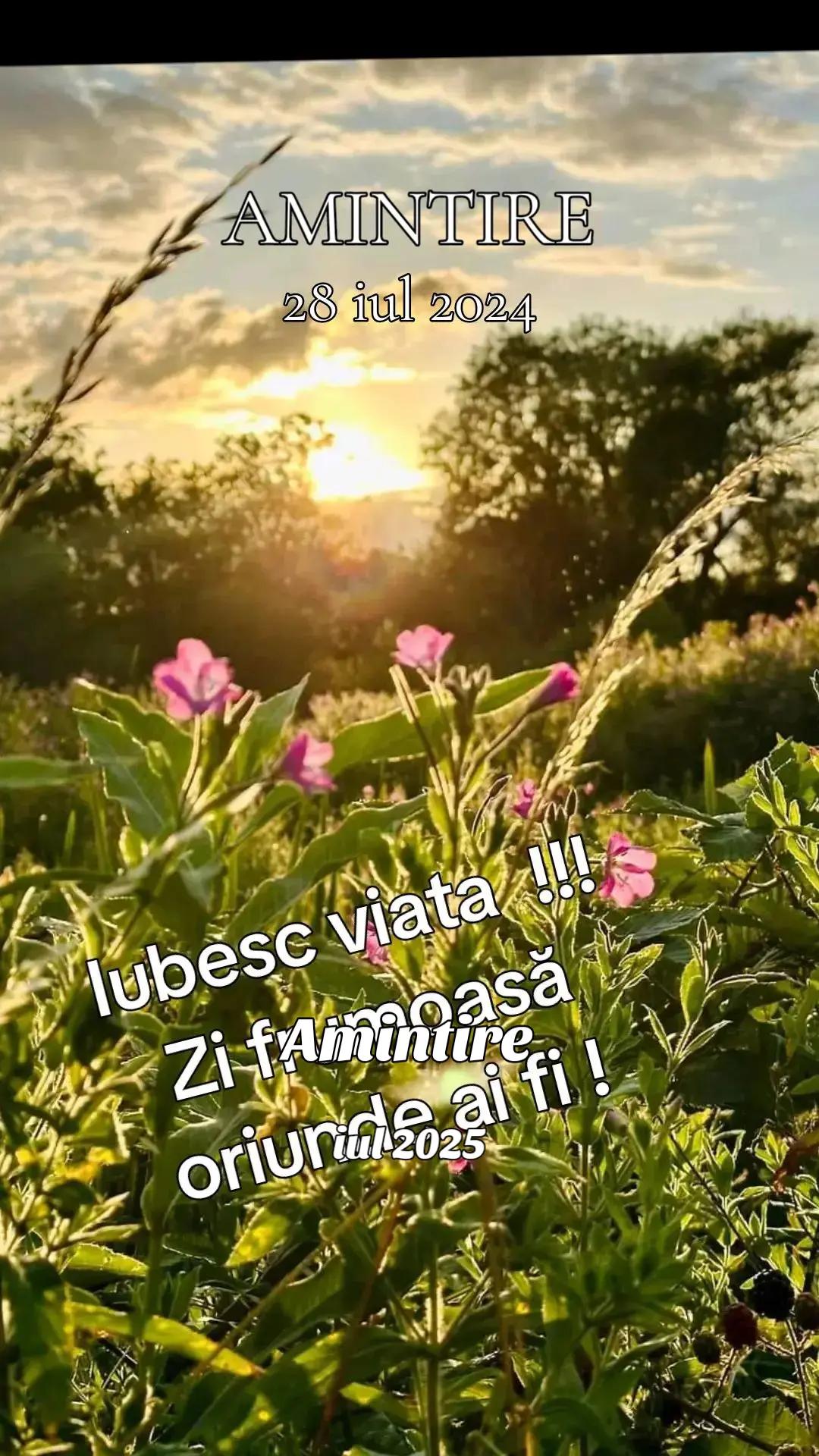 @Luminita Ungureanu