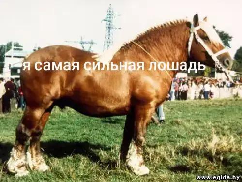 @777