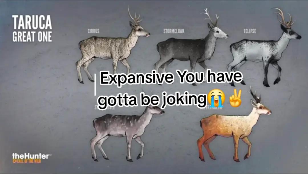 @Also Bass 'N Bucks🤠🪶🦌🎣
