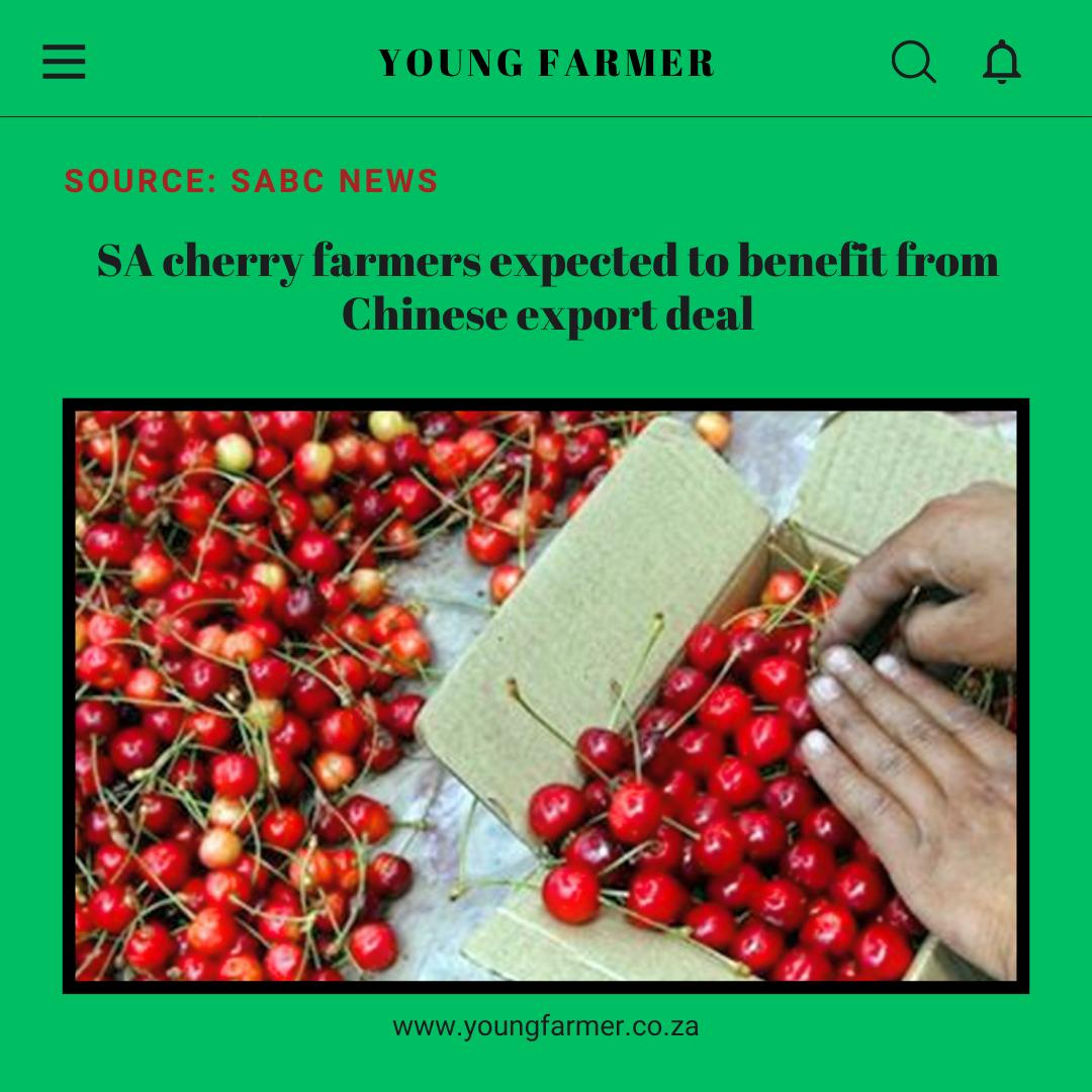 @Young Farmer