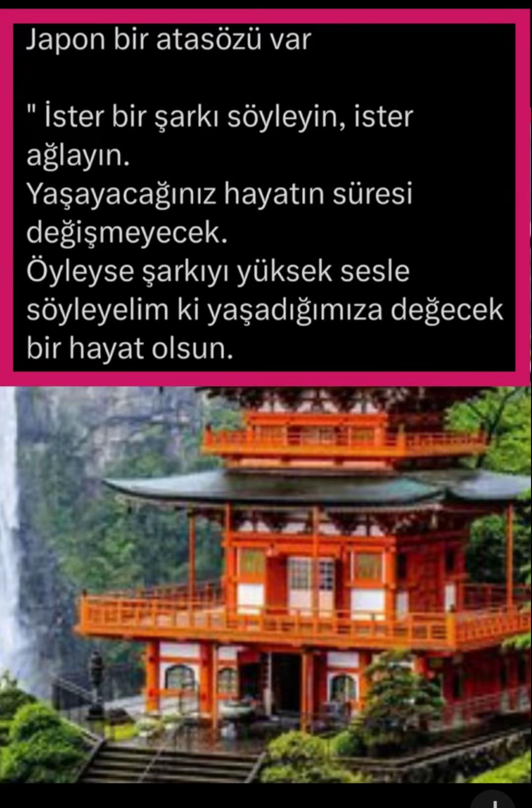 @Biraz delilik biraz felsefe