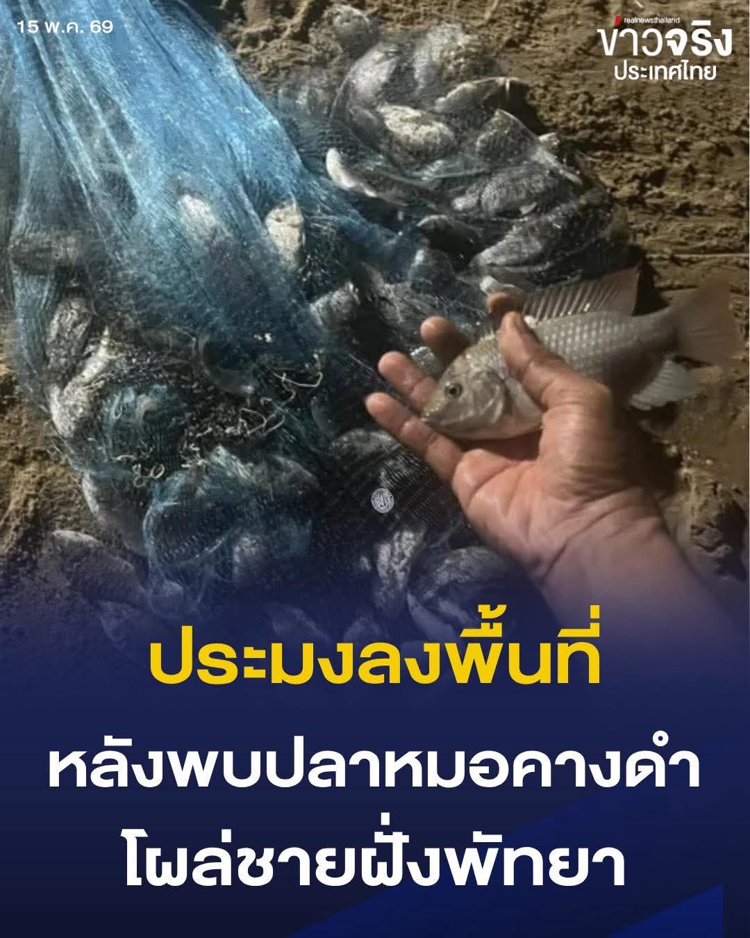 @ป้องปากอยากเล่า