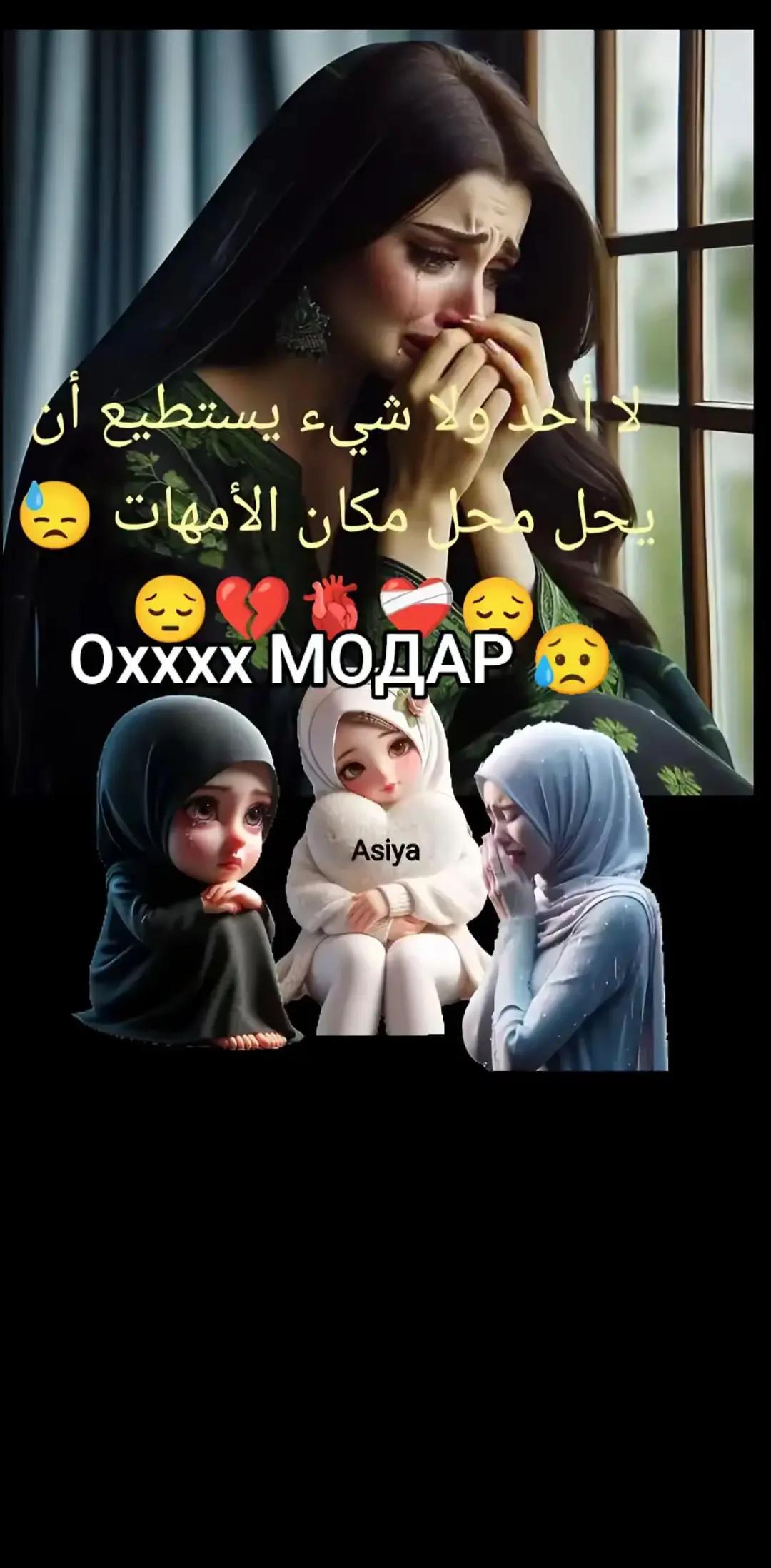 @iSefa Shirzad