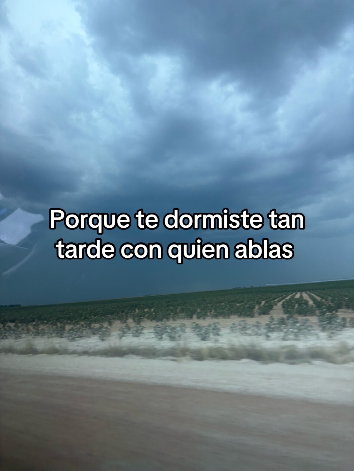 @Frank 🕷️🐥