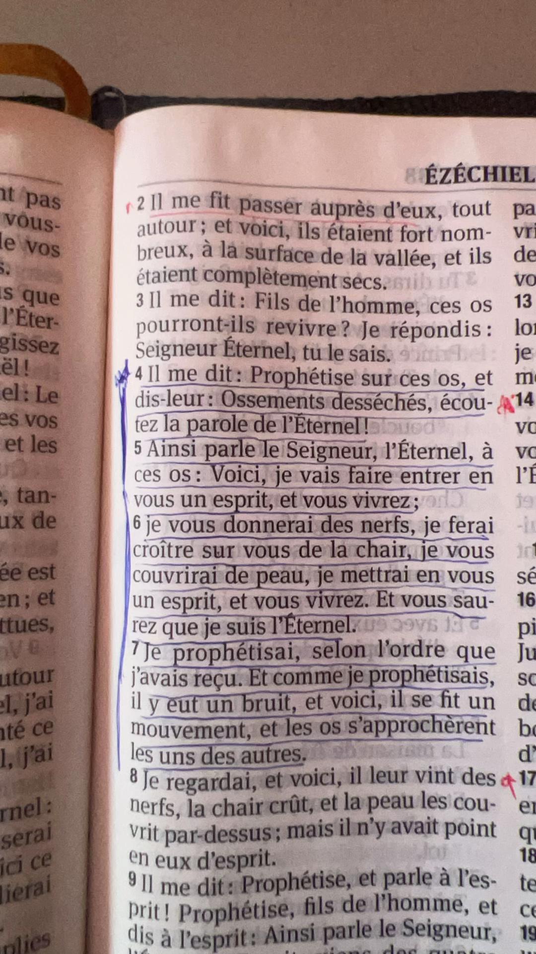 @Berger Cephas Bissangou ✝️