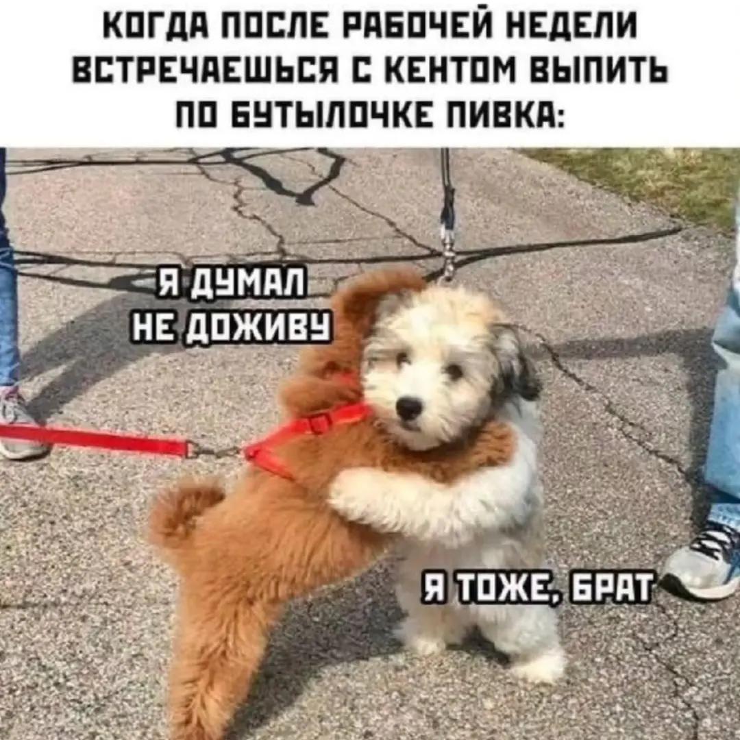 @любительница Audi ❤️