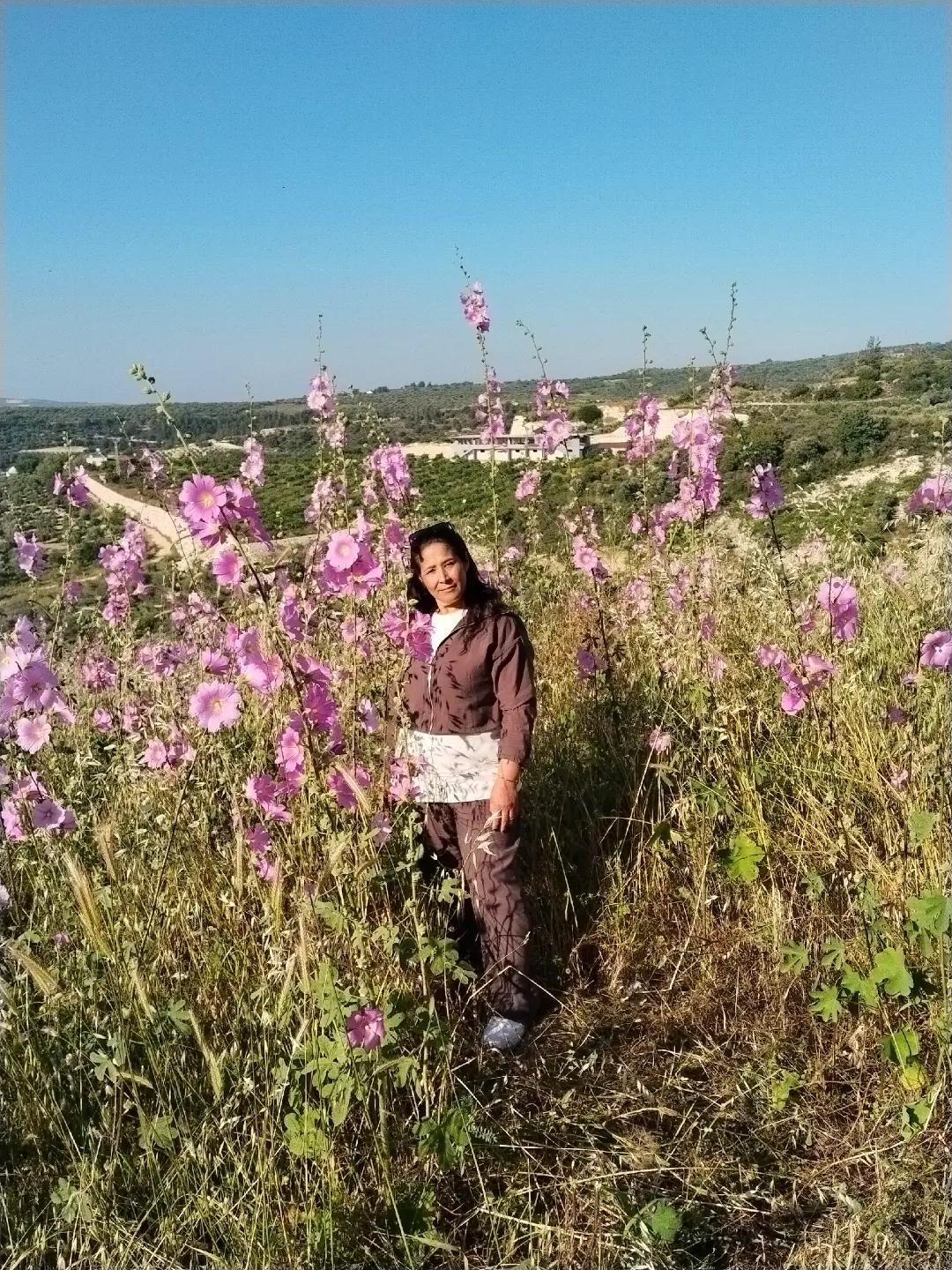 @Ayşe