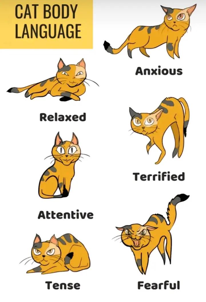 @!?