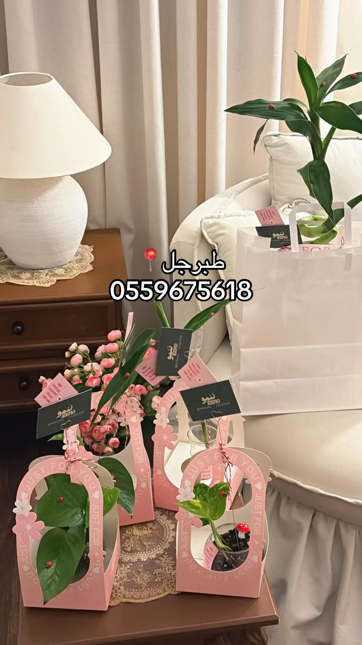 @ููู
ู๐ฑ/ูุจุงุช ุฏุงุฎูู ุงูุฌูู ๐