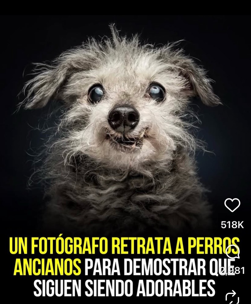 @Nora