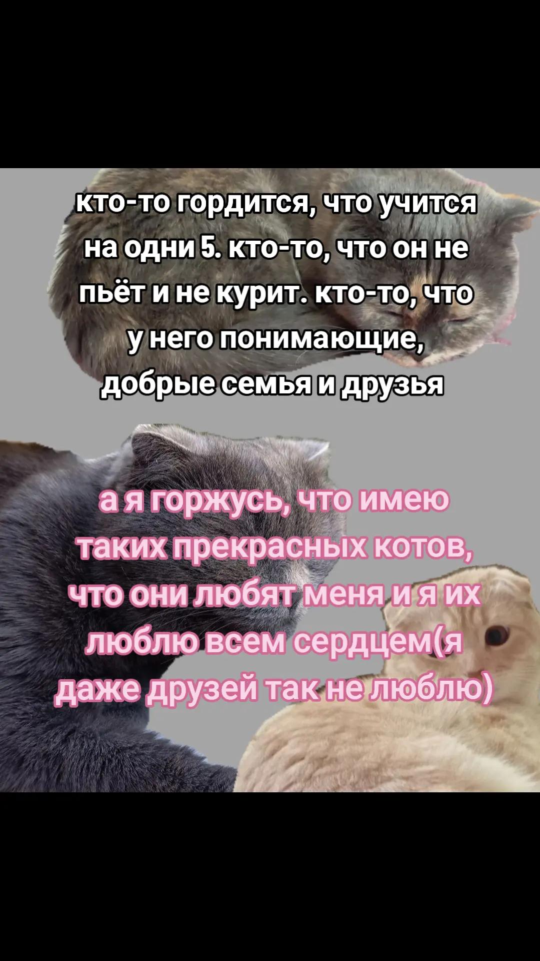 @🤫_Dom!n!k_🤫