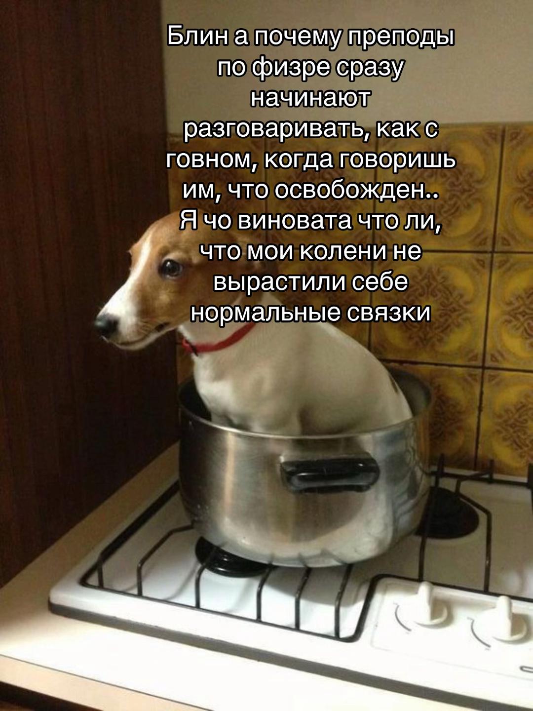@Бельферг