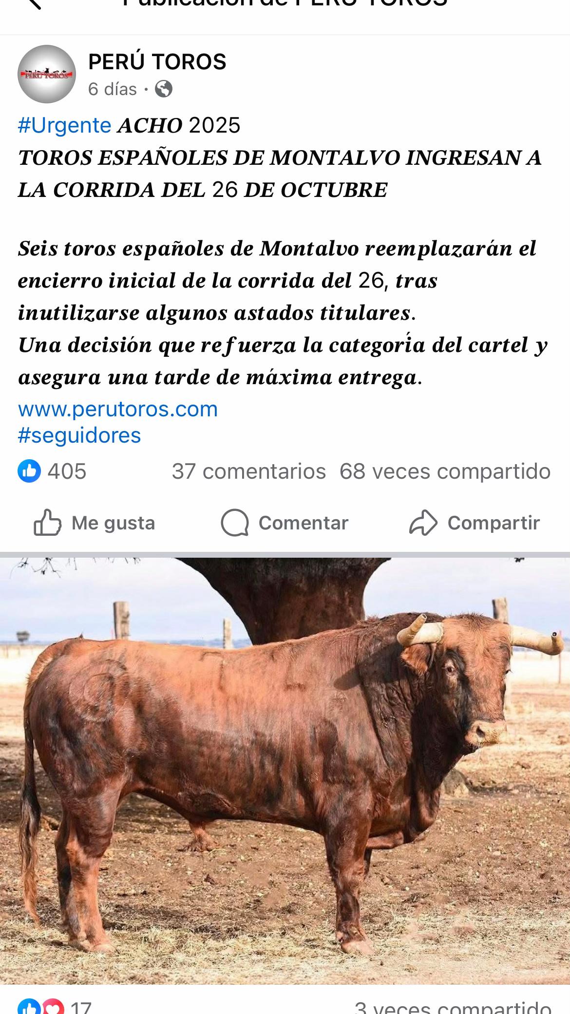 @taxidermiadecorperu