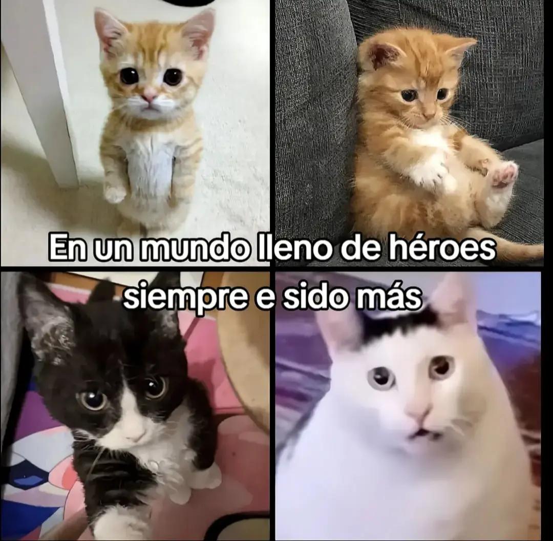 @~Soy_Miku 🐈🪽