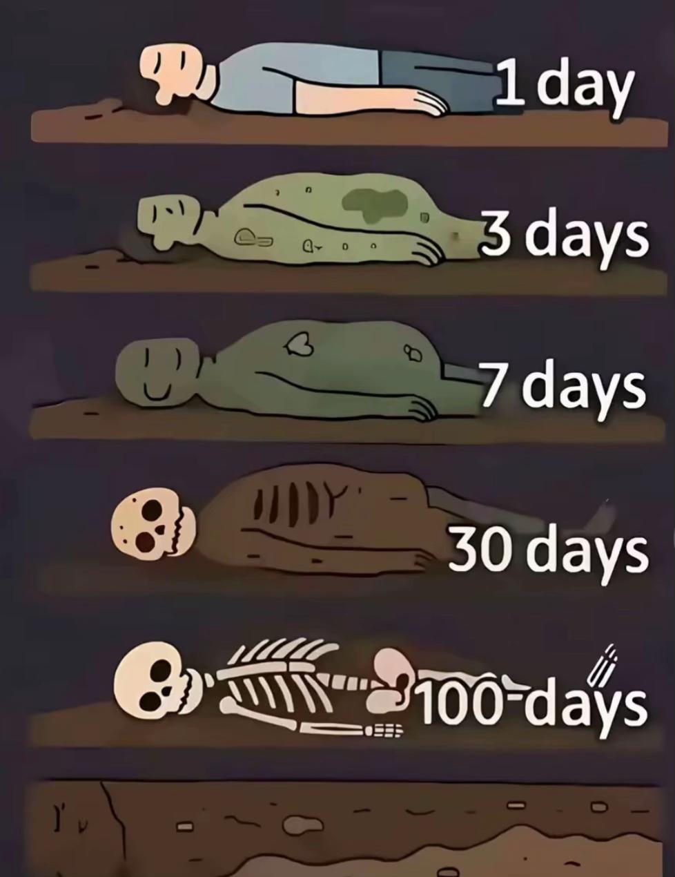 @Ryre4ek