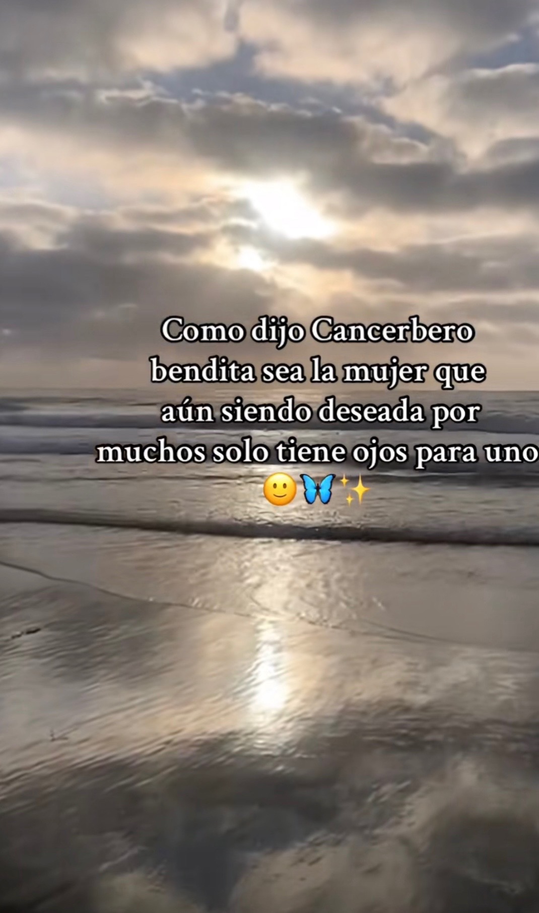 @lilianagabriel8