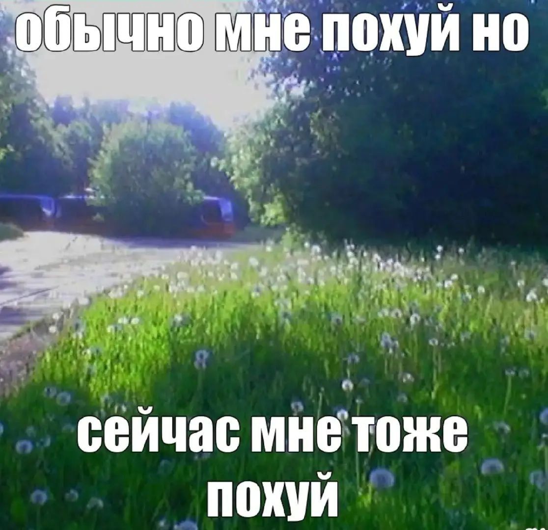 @всекслев