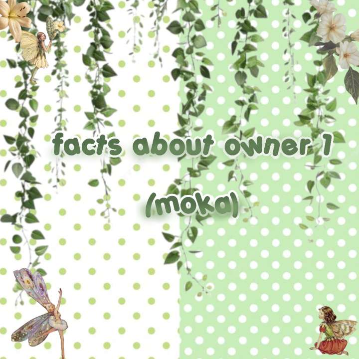 @êªá©§Íð² ð
υá©Í á§Ì¶áª¶á©Æ××
Öα×
᪲ ൟ à£