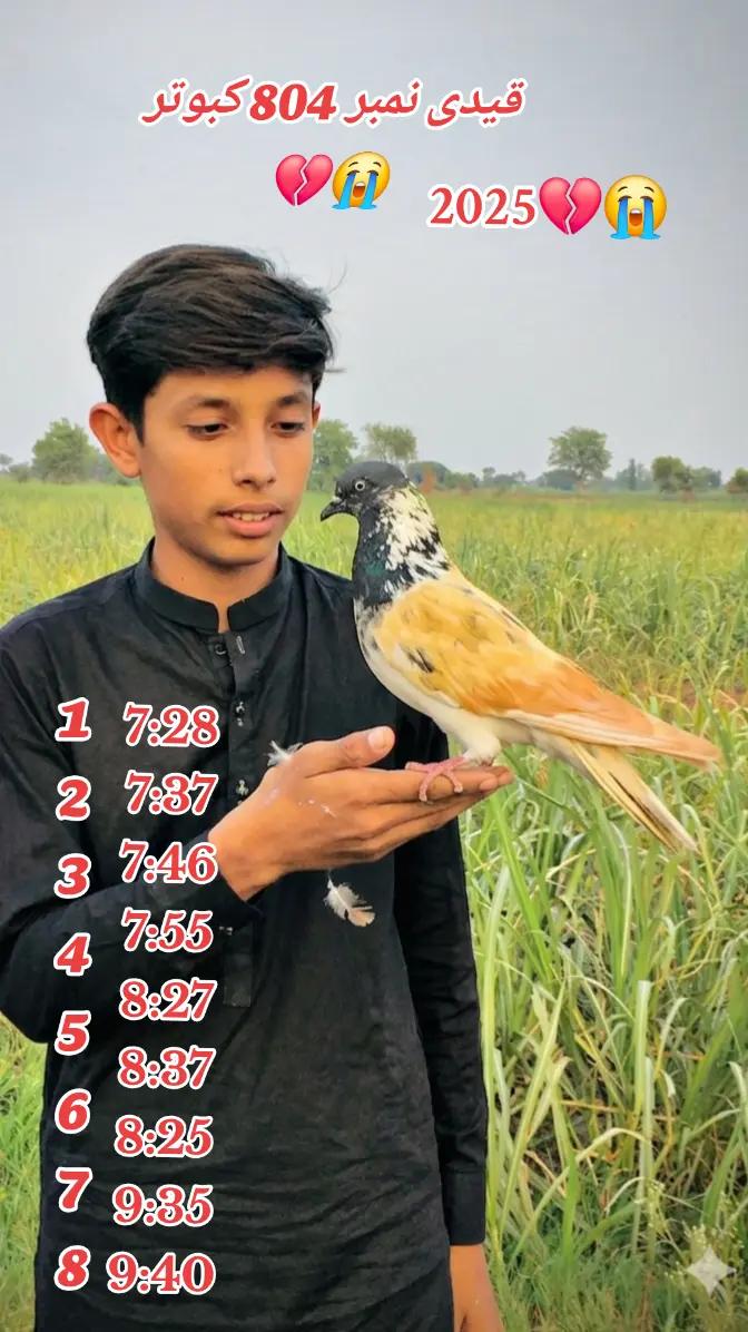 @🕊️ ملک دانیال 4❤️