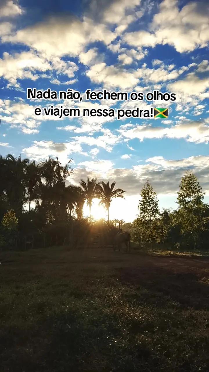 @🦋Maria Lima🌻