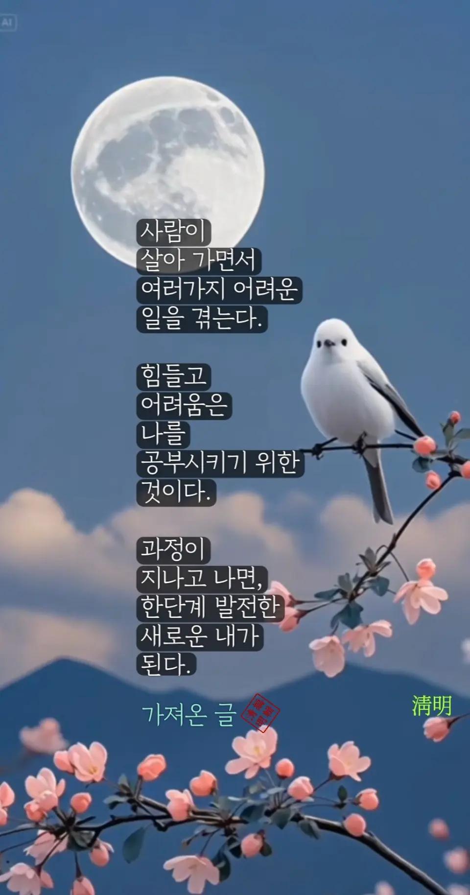 @시인/이정범(淸明)