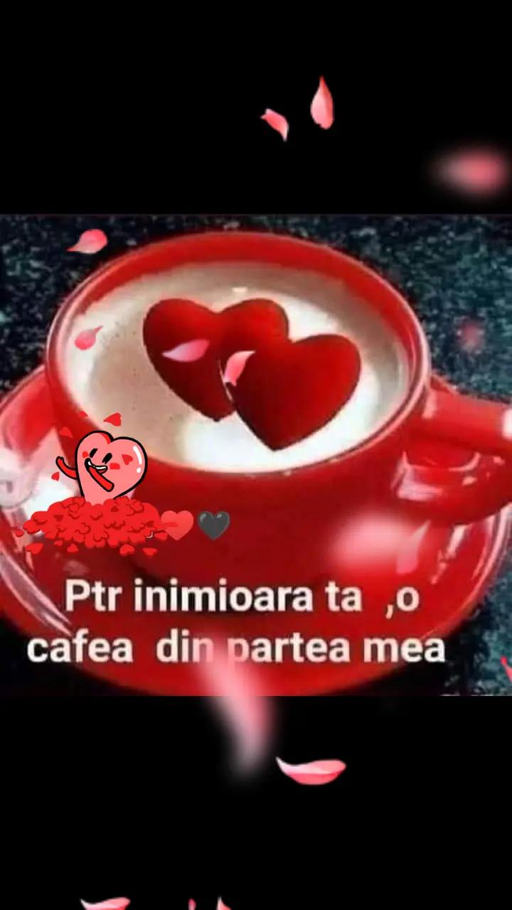 @Nicolae Iamandi Marin