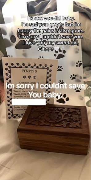 @Yeyeᡣ𐭩