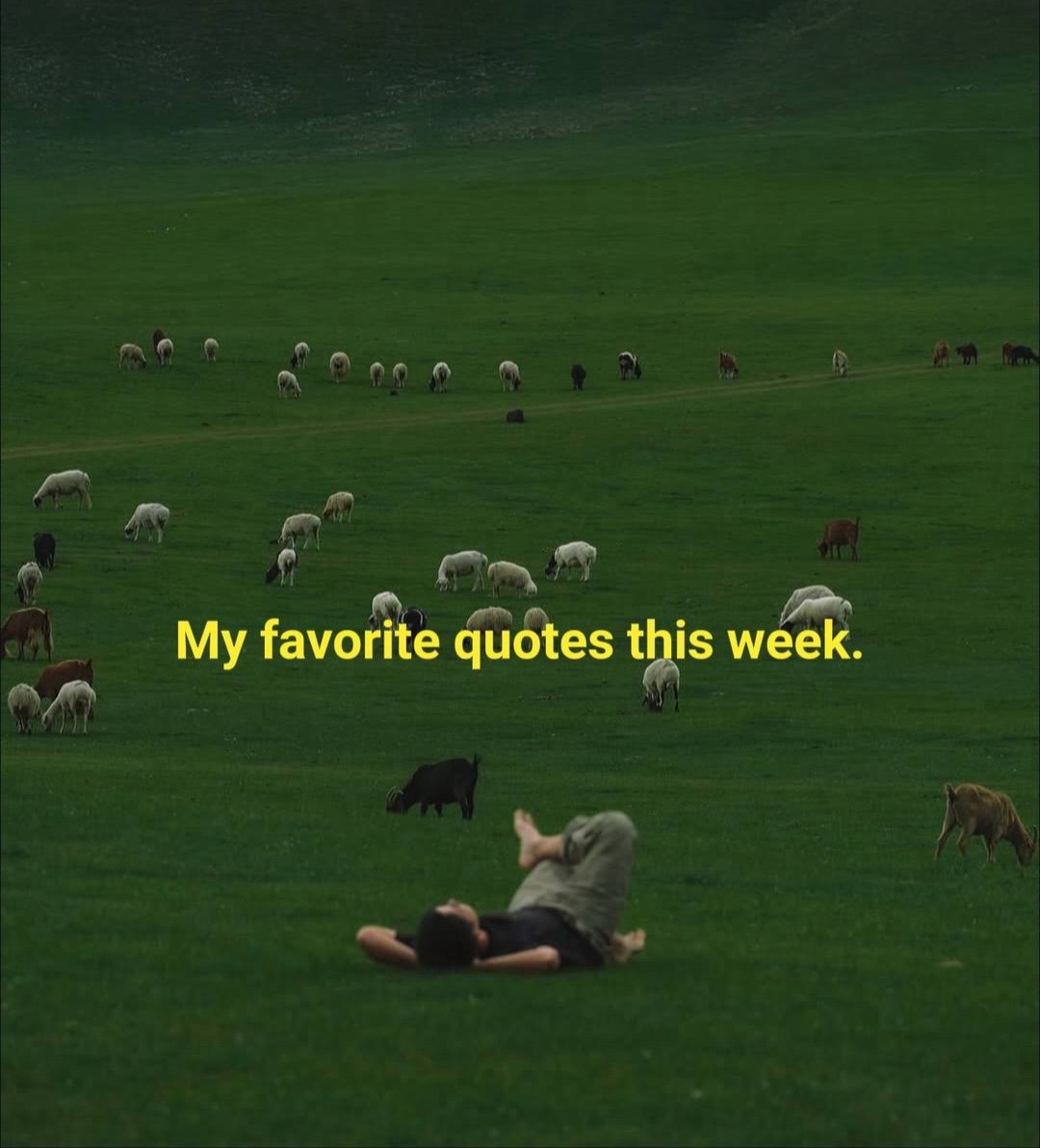 @Decent Taste Club