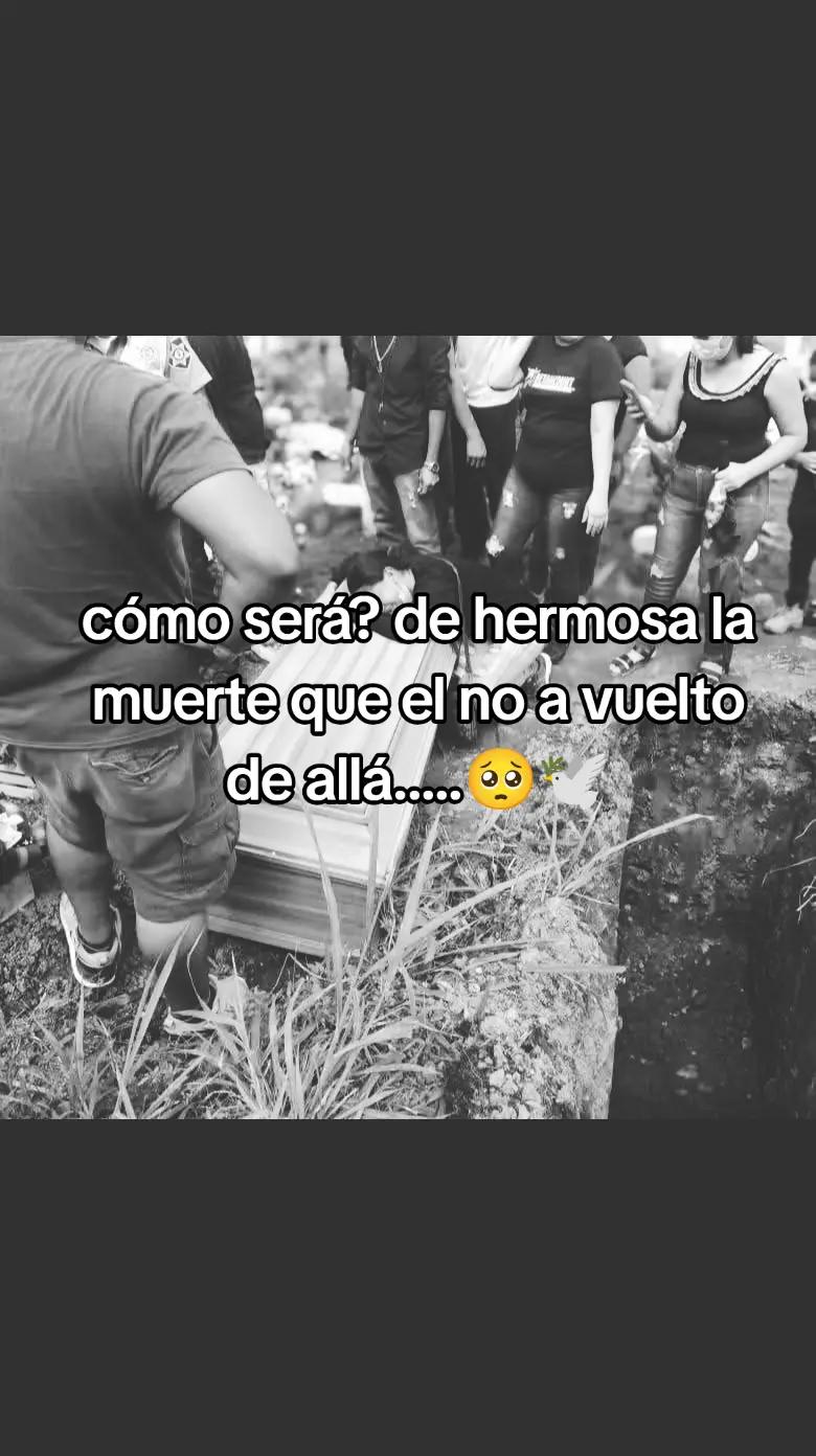 @Rosas_Nia D.I.🌹
