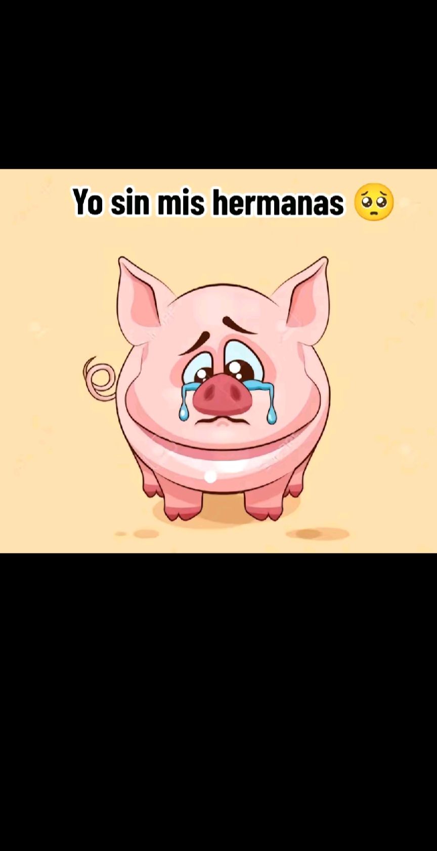 @jarumirojas1