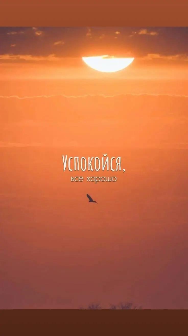 @виталич🤍💙❤️🇷🇺71