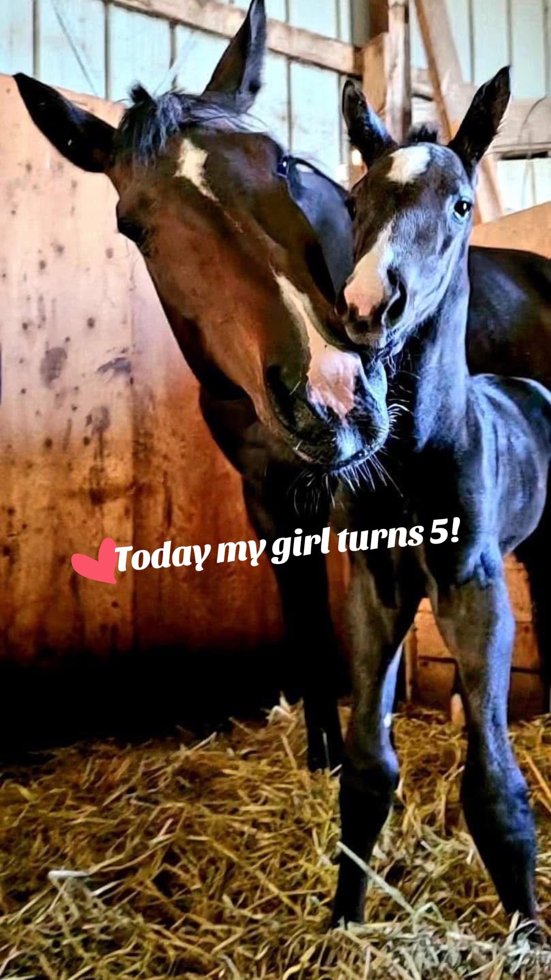 @Equestrian |🦄 Mom