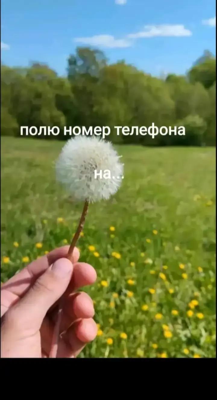 @𝓕𝓪𝓷 𝓿𝓼𝓮𝓱