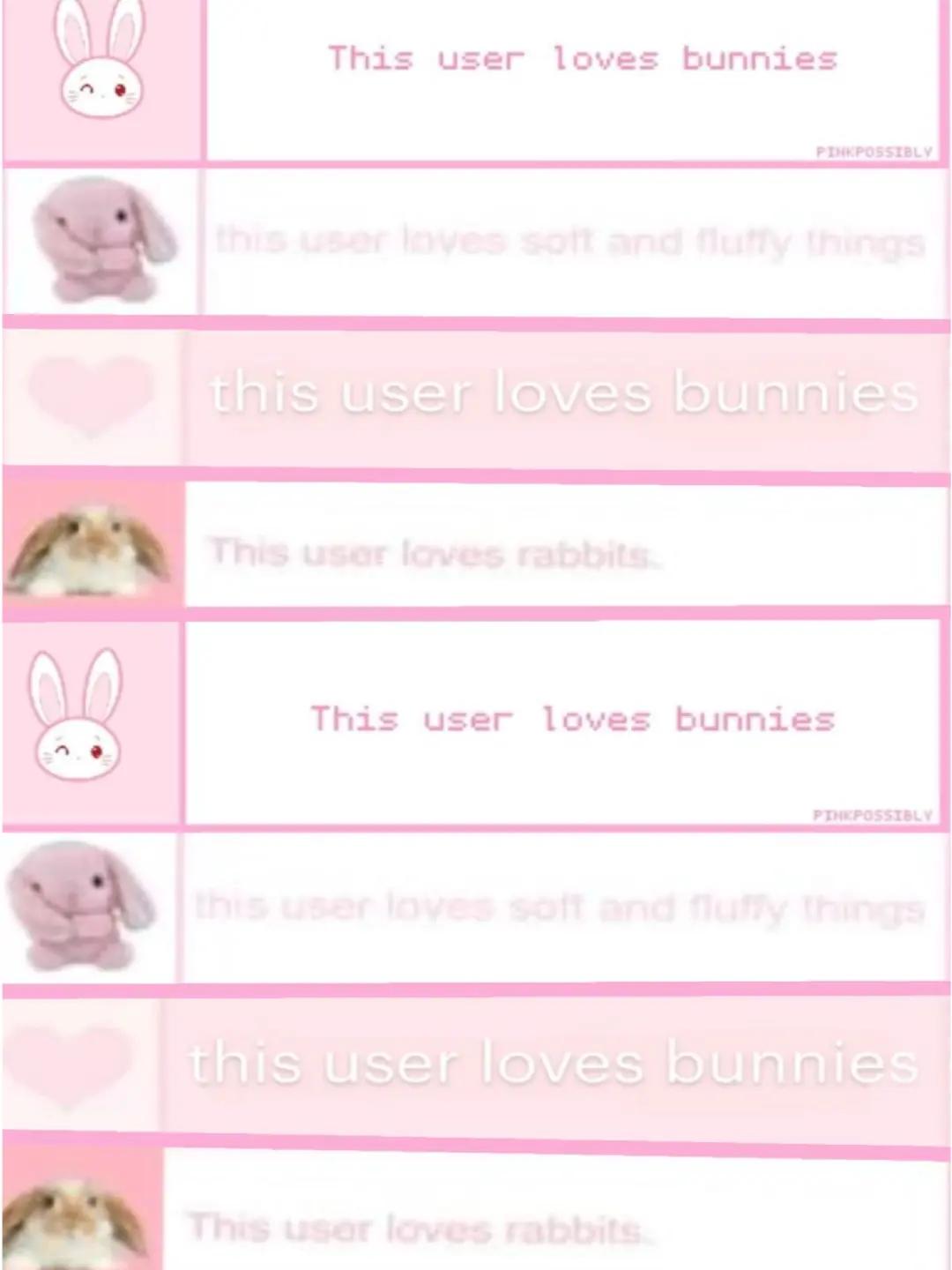 @💮𓂃˖˳ ִֶָ˖ྀᥣᥙᥒᥲ˖🪽