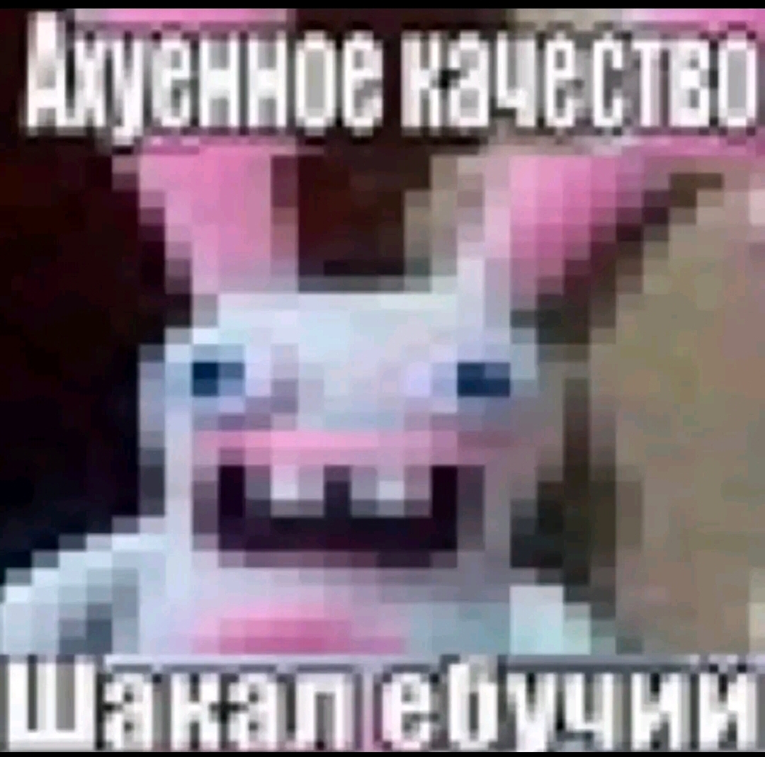 @Rider на куго