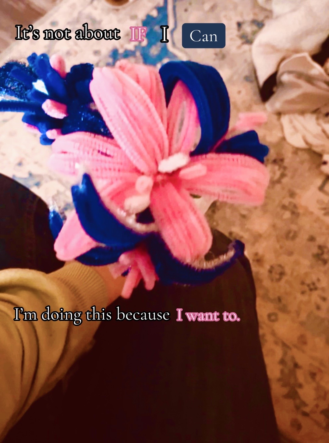 @🌺Bella🌺