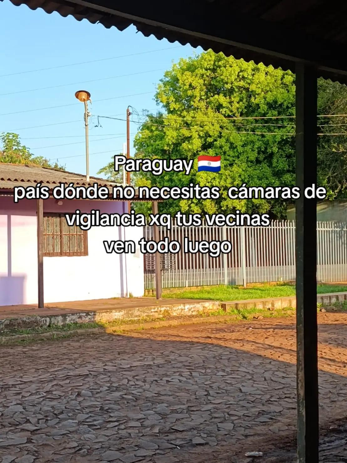 @Daniel Insfrán